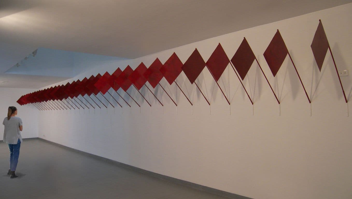 Slaughterhouse - Installation by Guillermo Quintero Rojas (2007)