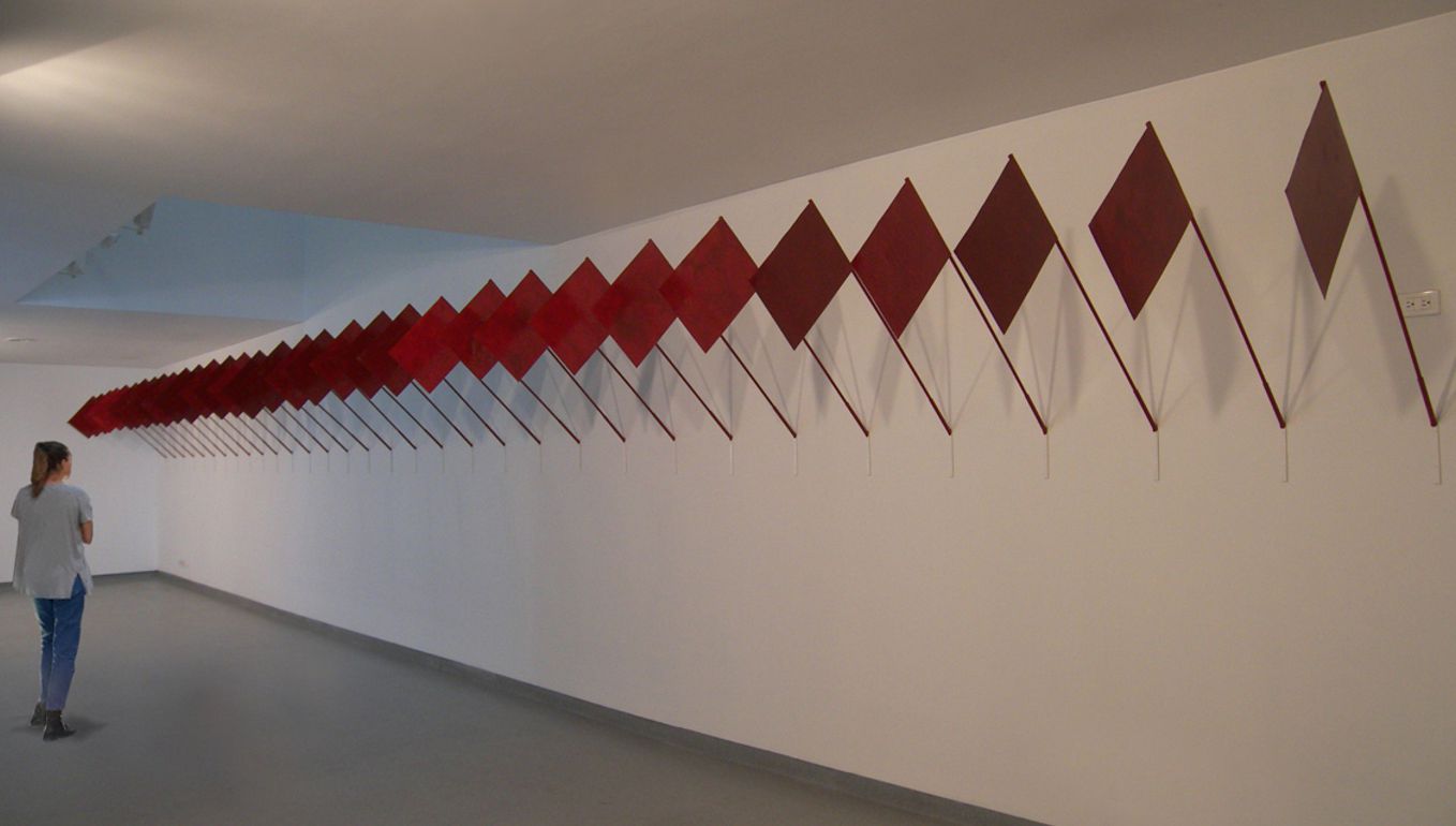 Slaughterhouse - Installation by Guillermo Quintero Rojas (2007)